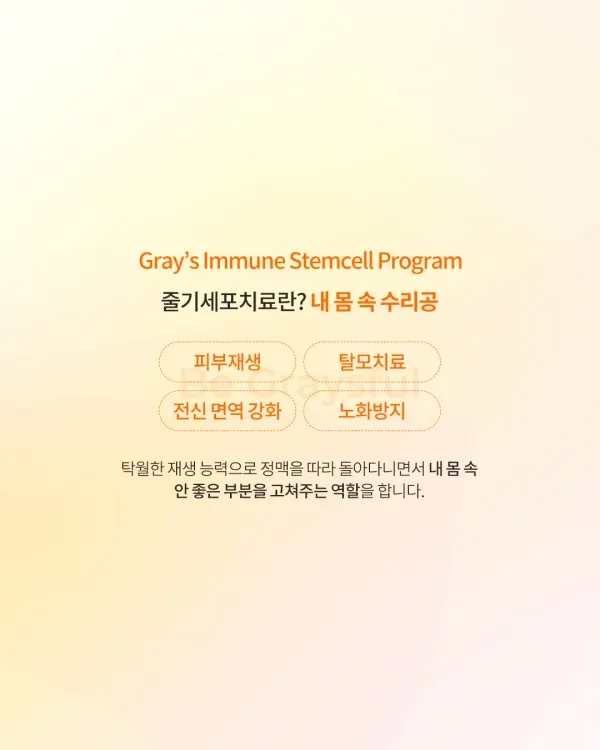 해외에서도 주목하는 한국 줄기세포 치료 — 이미지 2