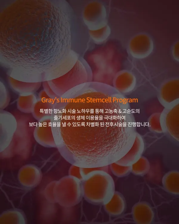 해외에서도 주목하는 한국 줄기세포 치료 — 이미지 3